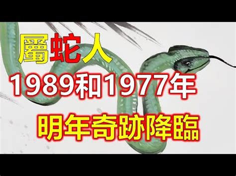 1989蛇男|1989年的屬蛇人是什麼命？什麼年齡開始享福？特別准！